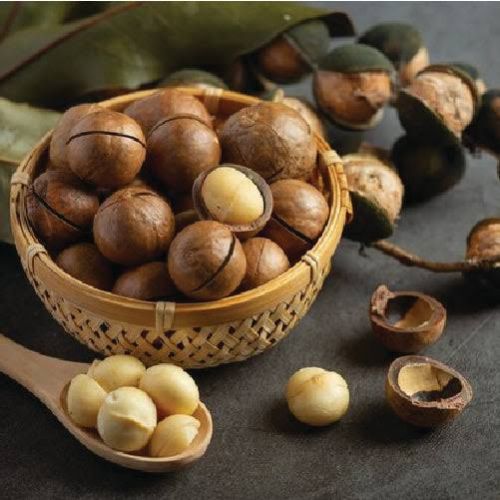 Dried Hazelnut, Color : Creamy, Packaging Size : 10 Kg