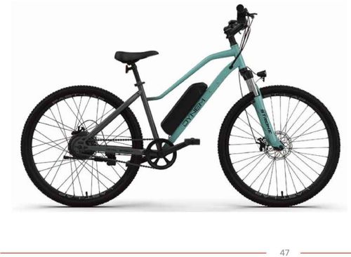 M060 Dynem Dash Electric Bicycle