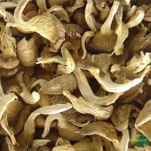 Organic Dry Oyster Mushroom, Speciality : Hygienic, Healthy