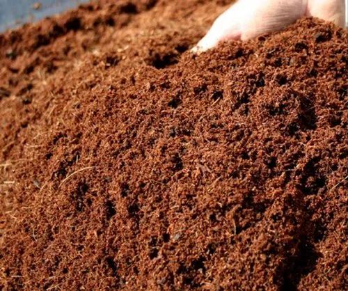 Coir Pith Powder 10-20%, Grade : High Ec