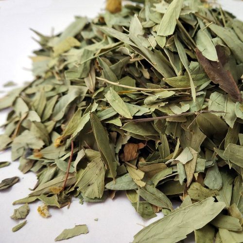 Dried Senna Leaves, Color : Green, Grade : Medicine Grade