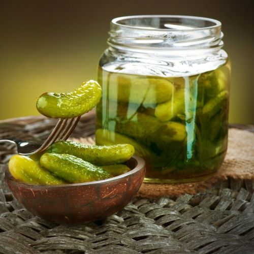 Pickled Cucumber Fresh, Packaging Size : 5-25kg