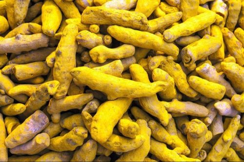 Organic Chintapalli Turmeric Finger, Color : Yellow