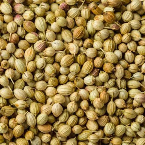 Coriander Seeds, Packaging Size : 5-50kg