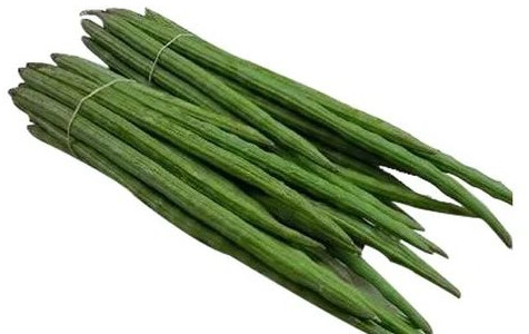 Organic Fresh Drumstick, Color : Green, Speciality : Healthy