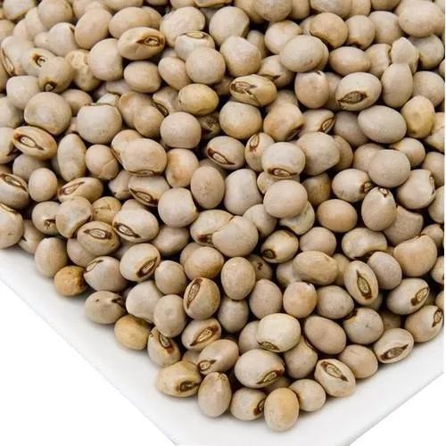 Soft Pigeon Pea Seeds, Seed Type : Hybrid