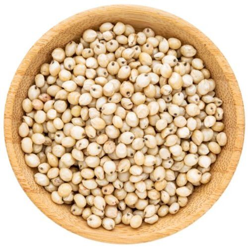 Sorghum Millet, Color : Creamy, Packaging Size : 5-50kg