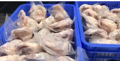 Broiler Chickens, Condition : Fresh, Frozen