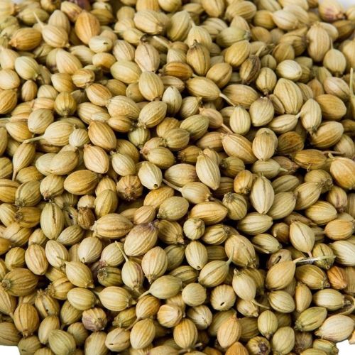 Dried Organic Coriander Seed, Color : Green For Cooking