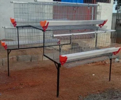 Color Coated Galvanized Iron 50 Birds Poultry Layer Cage