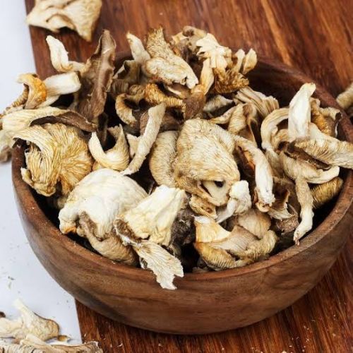 Natural Dry Oyster Mushroom Yellow