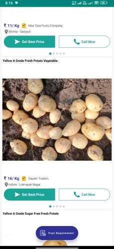Potatoes, Cultivation Type : Natural Gunny Bag
