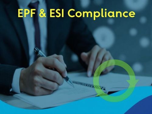 Epf Esi Compliance Service