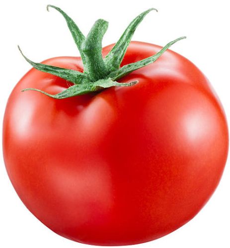 Natural Fresh Tomato, Color : Red For Cooking, Restaurant, Food