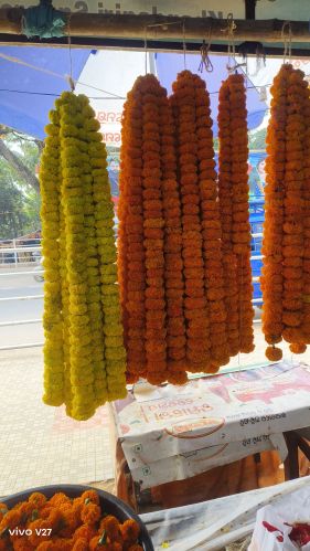 Natural marigold flower, Packaging Type : Orange