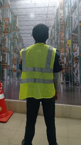 Pest control services