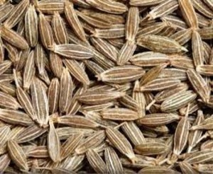Smooth Cumin Seeds Bold Dried, Grade Standard : Food Grade