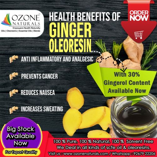 Ginger Oleoresin, Brand Name : Ozone Naturals