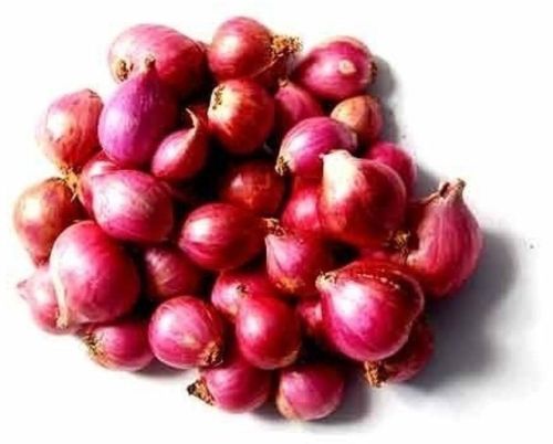 Organic Fresh Baby Red Onion, Packaging Size : 50-100kg For Cooking