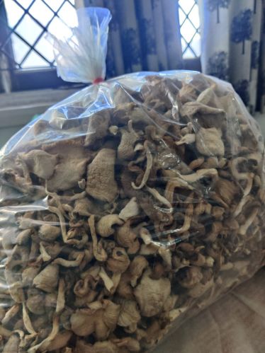 Natural Dried Oyster Mushroom for Cooking, Restaurant