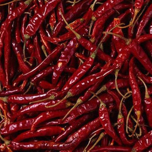 Organic Teja Red Chilli Food Grade for Cooking