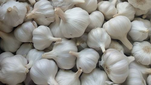 Garlic, Color : White For Cooking