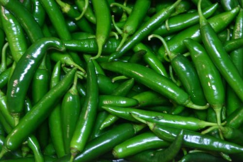 Organic Green Chili, Packaging Size : 50Kg, Packaging Type : Carton