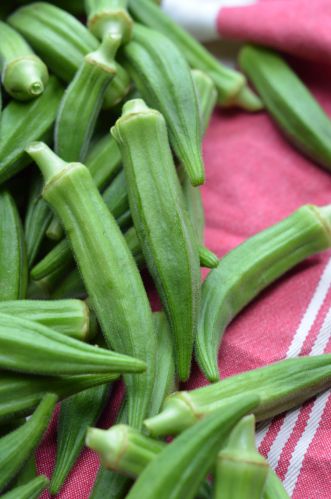 Okra, Packaging Size : 25kg, 50kg For Agriculture