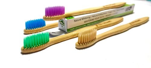 Bamboo Toothbrush Standard