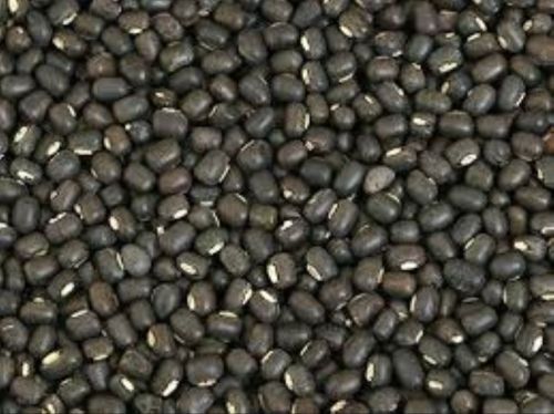 Natural Whole Urad Dal, Color : Black, Packaging Size : 20Kg