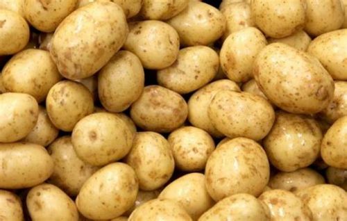 Potato, Cultivation Type : Natural Yellow