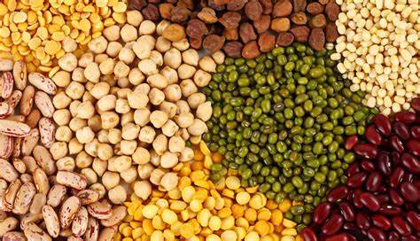 Organic Pulses, Packaging Type : Multicolor