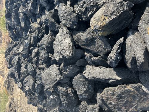 Coal, Packaging Type : Z-Black, Form : Solid for Steaming