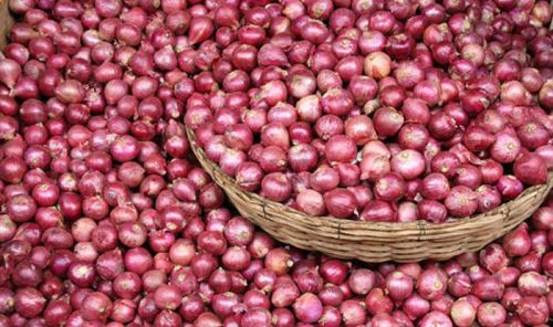 Onions, Cultivation Type : Natural Red