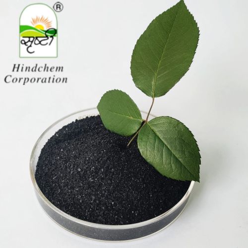 Organic Seaweed Extract Flakes, Brand Name : Hindchem, Form : Powder