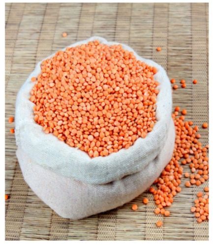 Natural Red Masoor Dal Seed, Color : Redish - Orange, Purity : 99.9%