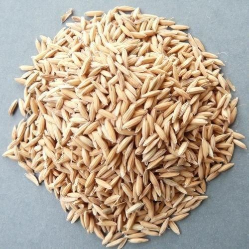 Natural Sharbati Paddy Seed 16%, Certification : FSSAI Certified