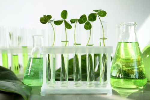 Glycerine, Density : 1.261 g/cm3