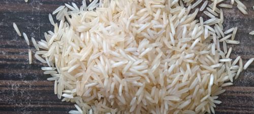 Long Grain 1509 basmati rice, Packaging Type : Creamy White