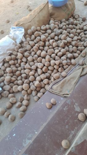 Tiptur Dry Copra, Packaging Type : Black & Dark Brown