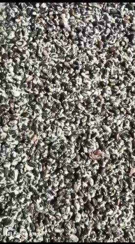 SR Organic Cotton Seed Delontor, Seed Type : Natural