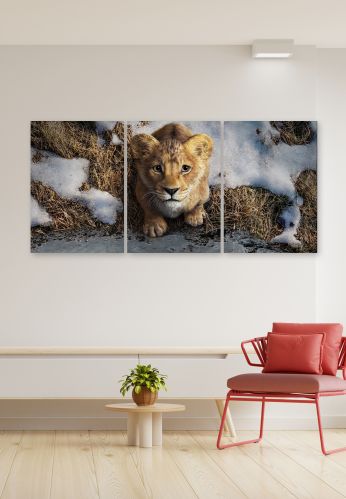 Printed Digital Finishing Posters, Shape : Rectangular