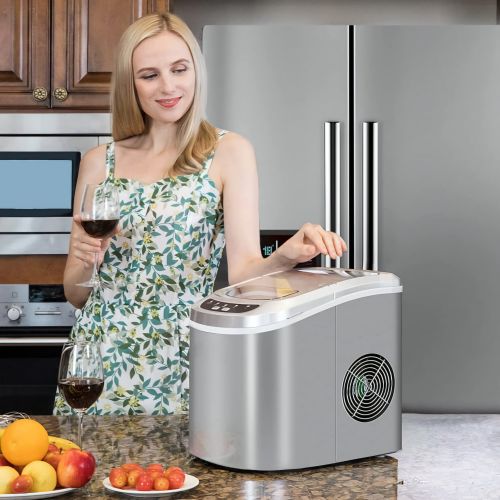 Leonard Usa Stainless Steel Automatic Ice Cube Maker For Icemaker Home Use