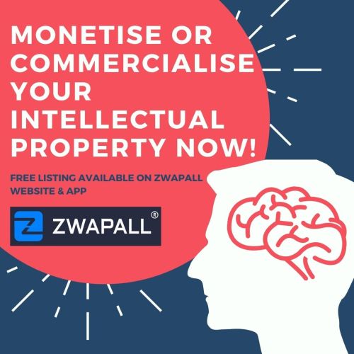 Patent Monetization Services