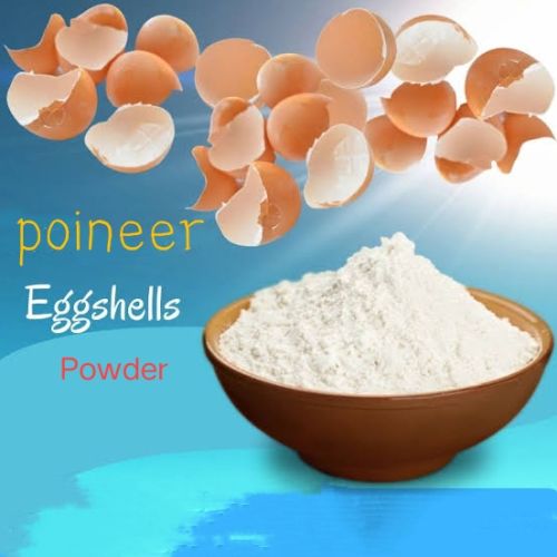 Pioneer Egg Shell Powder, Packaging Type : Bag, Purity : 99%