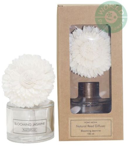 Reed Diffuser, Color : White for Decoration, Gifting