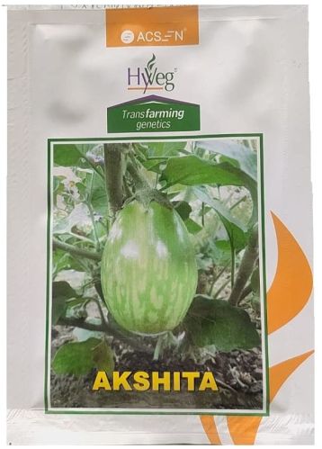 Brinjal Hyveg Akshita 10 Gm Seeds, Color : Black