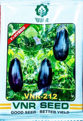 Organic Brinjal Vnr 212 Seeds, Color : BLACK, Packaging Size : 10GM