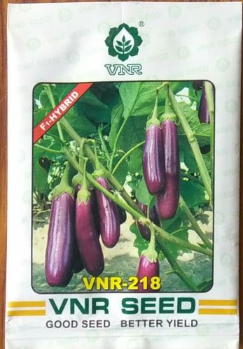 Natural BRINJAL VNR 218, Color : BLACK, Packaging Size : 10GM