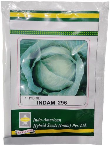 Cabbage indam-296 Seeds, Packaging Size : 10GM For Cooking